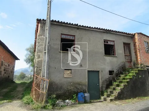 Quinta