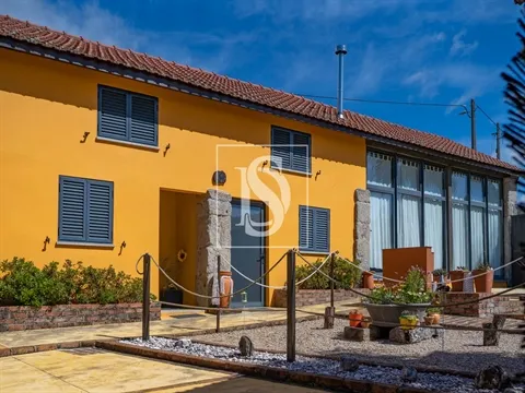Quinta T8