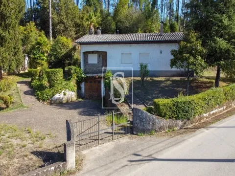 Quinta com 24.300m² em Vale de Açores, Mortágua