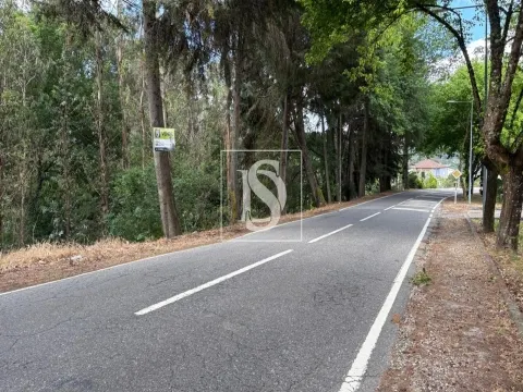 Terreno Rústico