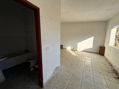 Terreno
