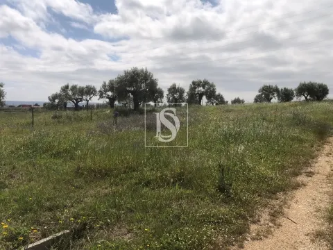 Terreno Para Construção