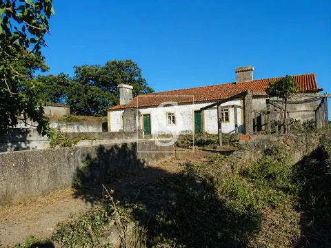 Quinta T4