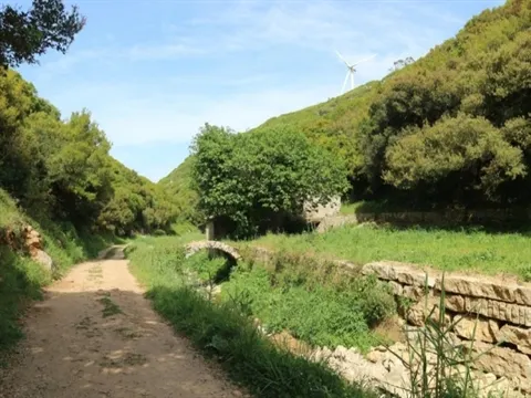 Terreno