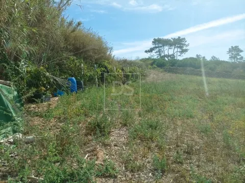 Terreno com 1.562 m² em Casal das Oliveiras | Proximidade à Ericeira e Excelente Potencial