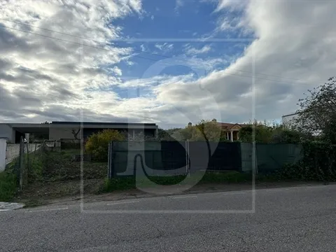 Terreno