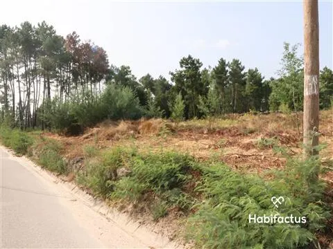 Terreno Para Construção