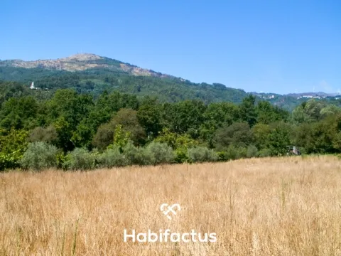 Terrain rural