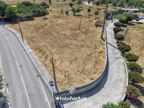 Terrain