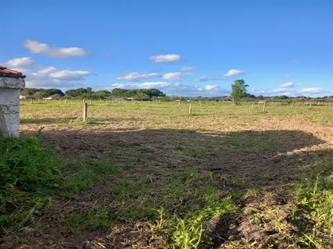 Terreno