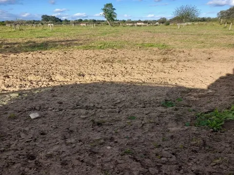 Terreno