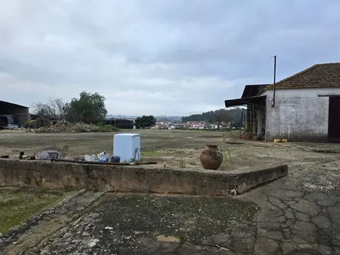 Quinta T3