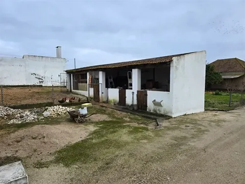 Quinta T3