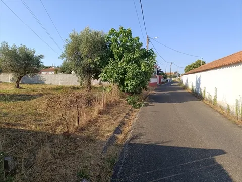 Terreno