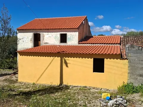 Quinta T5