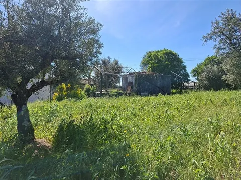 Terreno