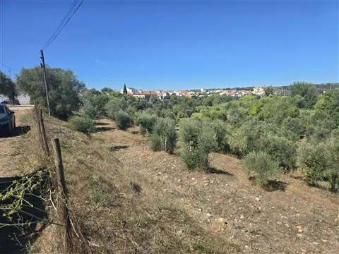 Terreno com Possibilidade de Construção - Alferrarede Velha - Abrantes