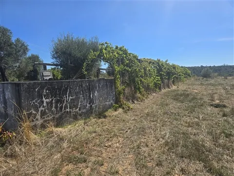 Terreno com Possibilidade de Construção - Alferrarede Velha - Abrantes