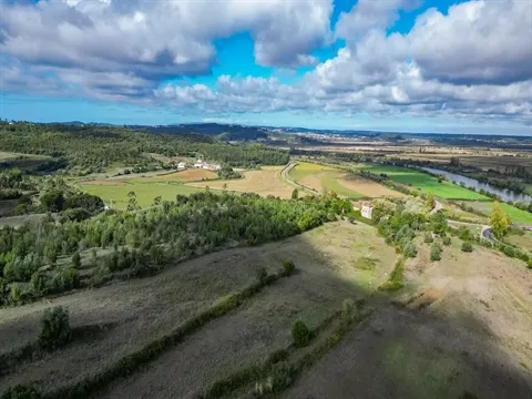 Terreno