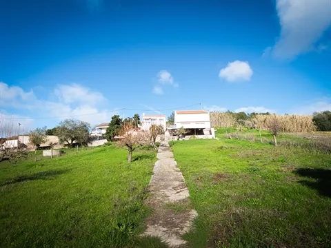Terreno