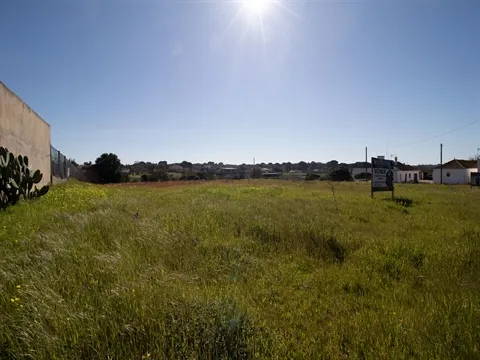 Terreno
