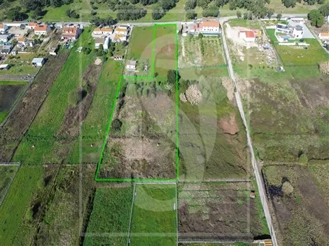 Terreno