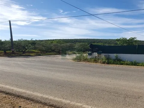 Terreno Misto