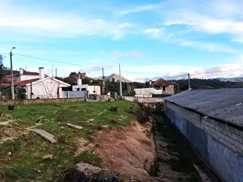 Terreno