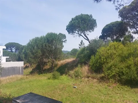 Terreno