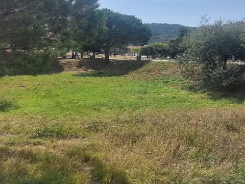 Terreno