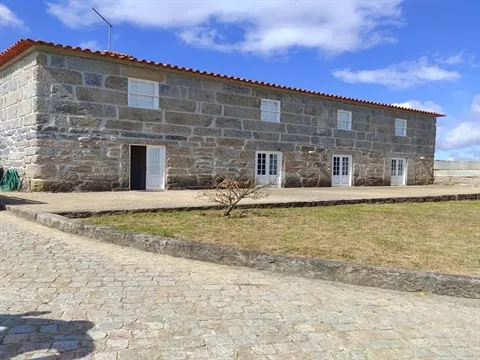 Quinta T7