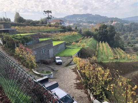 Quinta T7
