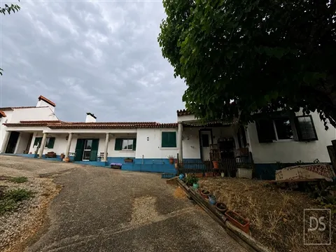 Quinta T7