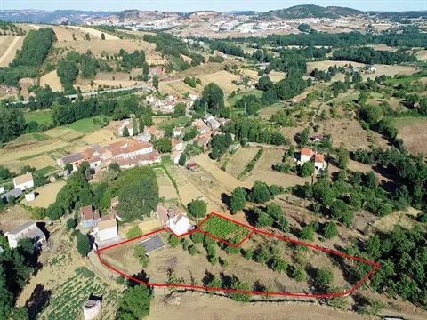 Terreno