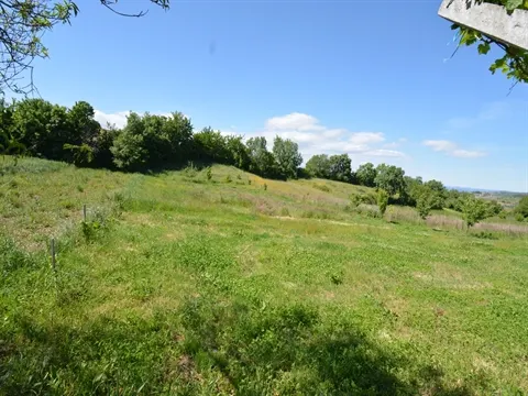 Terreno