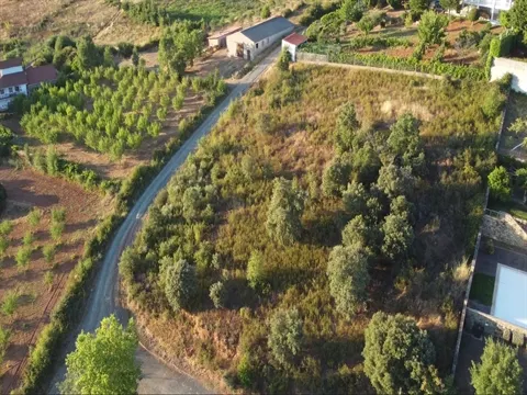 Terreno