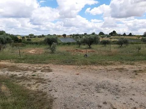Quinta