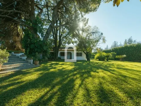 Chalet 4 habitaciones