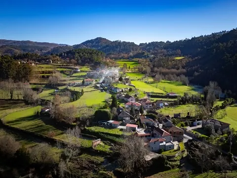 Quinta