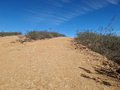 Terreno