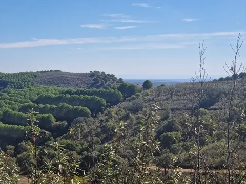 Terreno