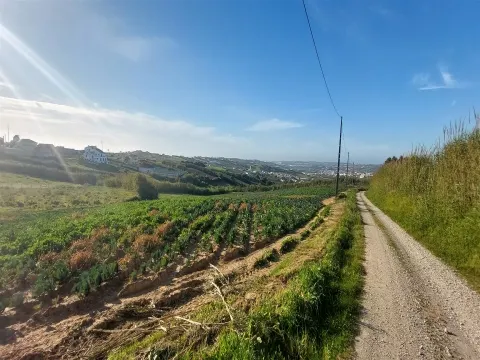 Terreno Rústico com Excelente Potencial Agrícola – Localização Privilegiada