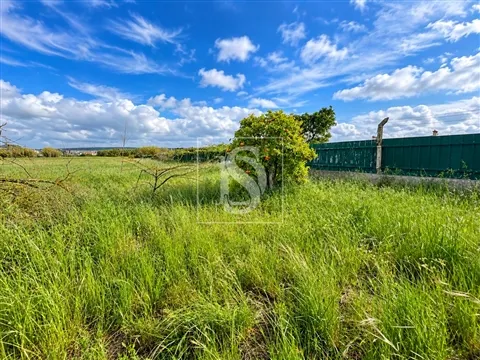 Terreno Rústico 7.750 m² com Potencial Construtivo | Quinta do Anjo, Palmela