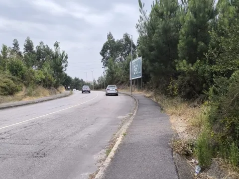 Terreno Misto