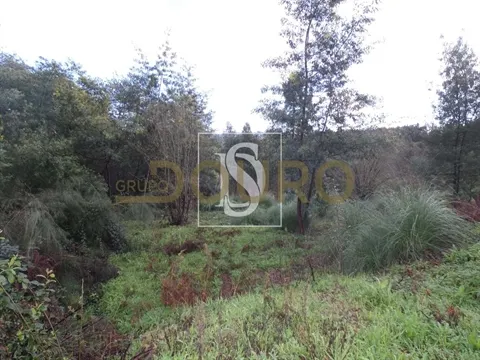 Terreno Urbano