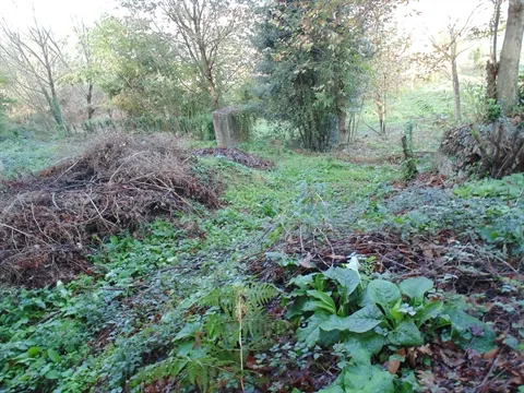 Terreno