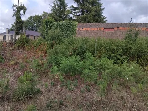 Terreno