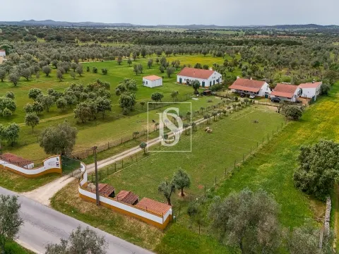 Herdade T9