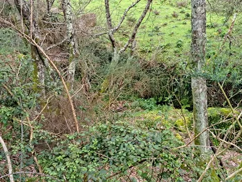 Farm