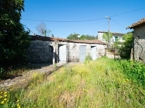 Quinta T2